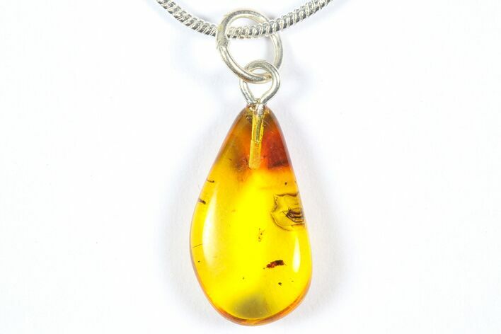 Polished Baltic Amber Pendant (Necklace) - Contains Flies! #369003